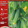 Огурец Осьминожка F1  