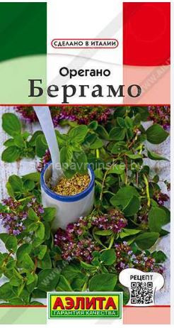 Орегано Бергамо