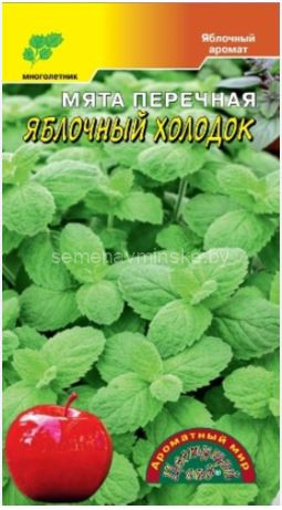 Мята перечная Яблочный Холодок