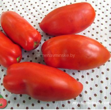 Томат Мэрис Пэйст