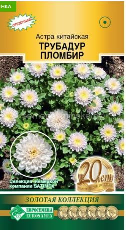 Астра Трубадур Пломбир Китайская