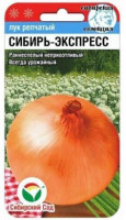 Лук Сибирь - Экспресс репка