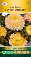 Астра Сиринга Сочный Апельсин