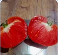 Томат Сладкий Кекс
