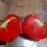 Томат Сладкий Кекс