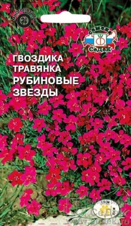 Гвоздика Травянка Рубиновые Звезды