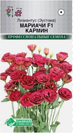 семена цветов купить в минске