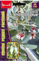 Фейхоа крупноплодный