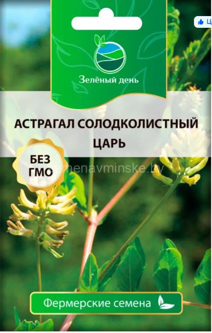 Астрагал Сладколистный Царь