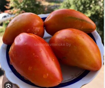 Томат Душа Ангела