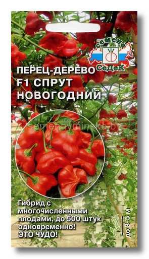 Перец-дерево Спрут Новогодний