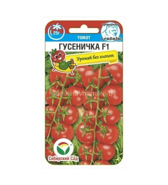 Томат Гусеничка F1