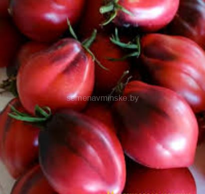 Томат Малиновые Носики Сержанта Пеппера