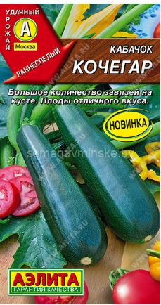 Кабачок Кочегар