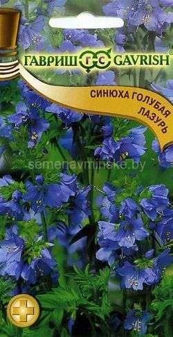 Синюха голубая Лазурь