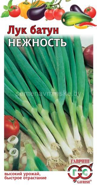 Лук многолетний Батун Нежность