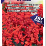 Сальвия Магический Огонь