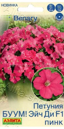 Петуния БУУМ ! Эйч Ди F1 Пинк