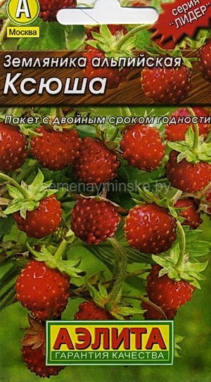 Земляника Ксюша альпийская
