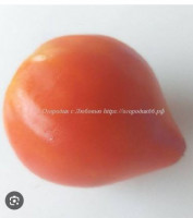 Сердце Говядины биколор