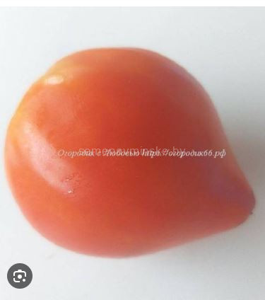 Сердце Говядины биколор