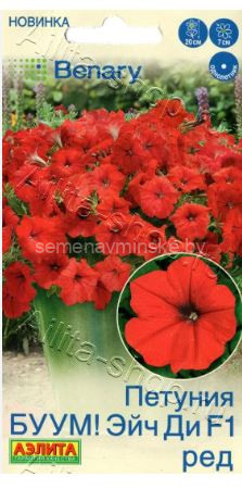 Петуния БУУМ ! Эйч Ди F1 Ред
