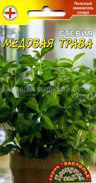 Стевия Медовая трава