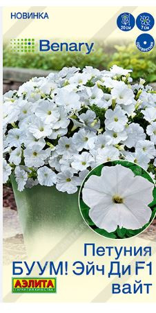 Петуния БУУМ ! Эйч Ди F1 Вайт