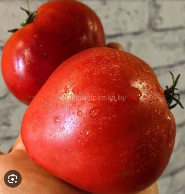 Томат Сливочное Масло Х Бычье Сердце