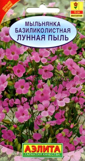 Мыльнянка базиликолистная Лунная Пыль