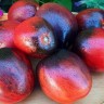 Томат Северные ягоды Валентины