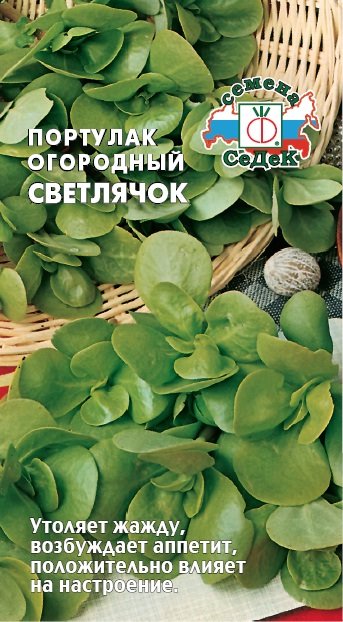 Портулак огородный СВЕТЛЯЧОК