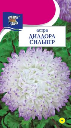 Астра Диадора Сильвер