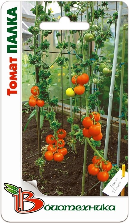 Томат Палка