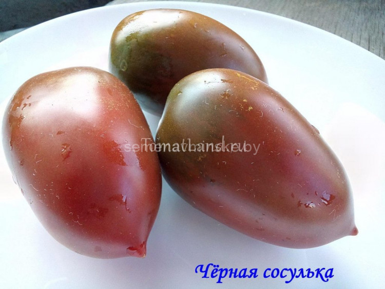 Томат сосулька описание сорта фото отзывы
