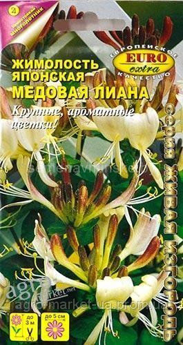Жимолость японская Медовая лиана