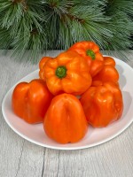 Перец Оранжевый Блок