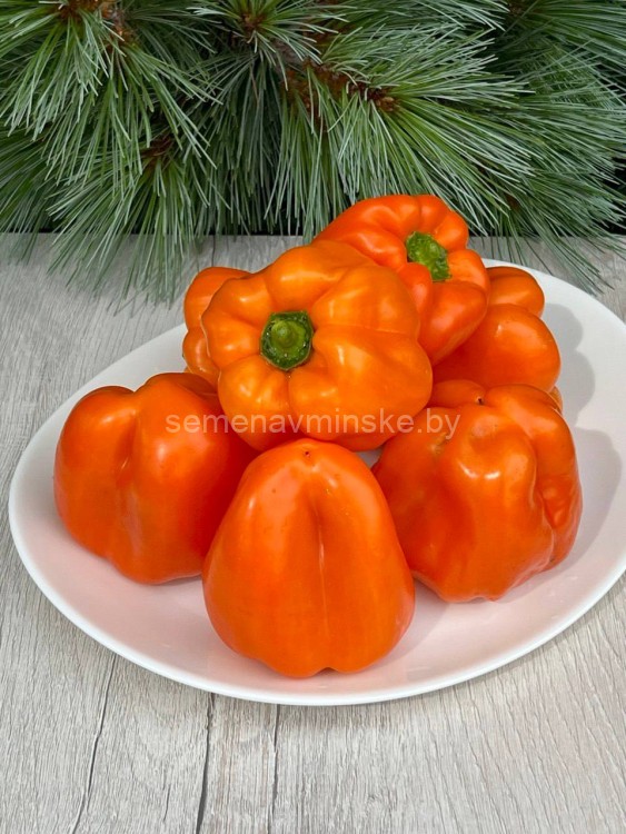 Перец Оранжевый Блок