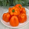 Перец Оранжевый Блок