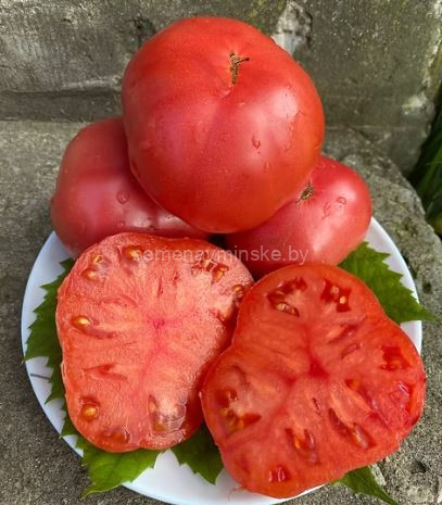 Томат Клубничный Лимонад ( Серия Гном )