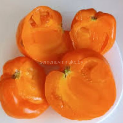 Наслаждение тетушки Сварло оранжевое