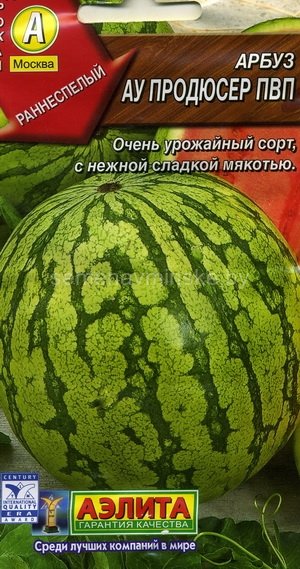 Арбуз Продюсер