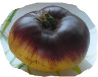 Томат Сарт Роллойз