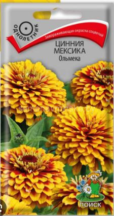 Циния Мексика Ольмека