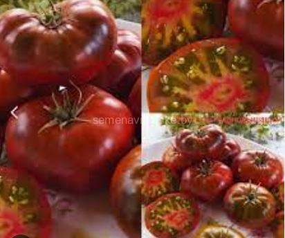 Томат Медная Голова ( Серия Гном )