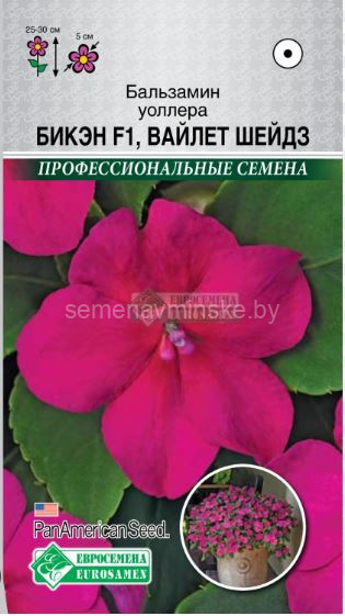 Бальзамин Бикэн F1 Вайлет Шейдз