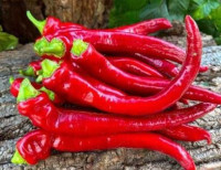 Перец острый Цицак