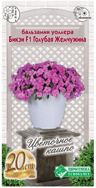 Бальзамин Бикэн F1 Голубая Жемчужина