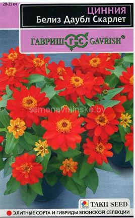 Циния Белиз Даубл Скарлет