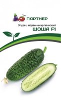  Огурец ШОША F1